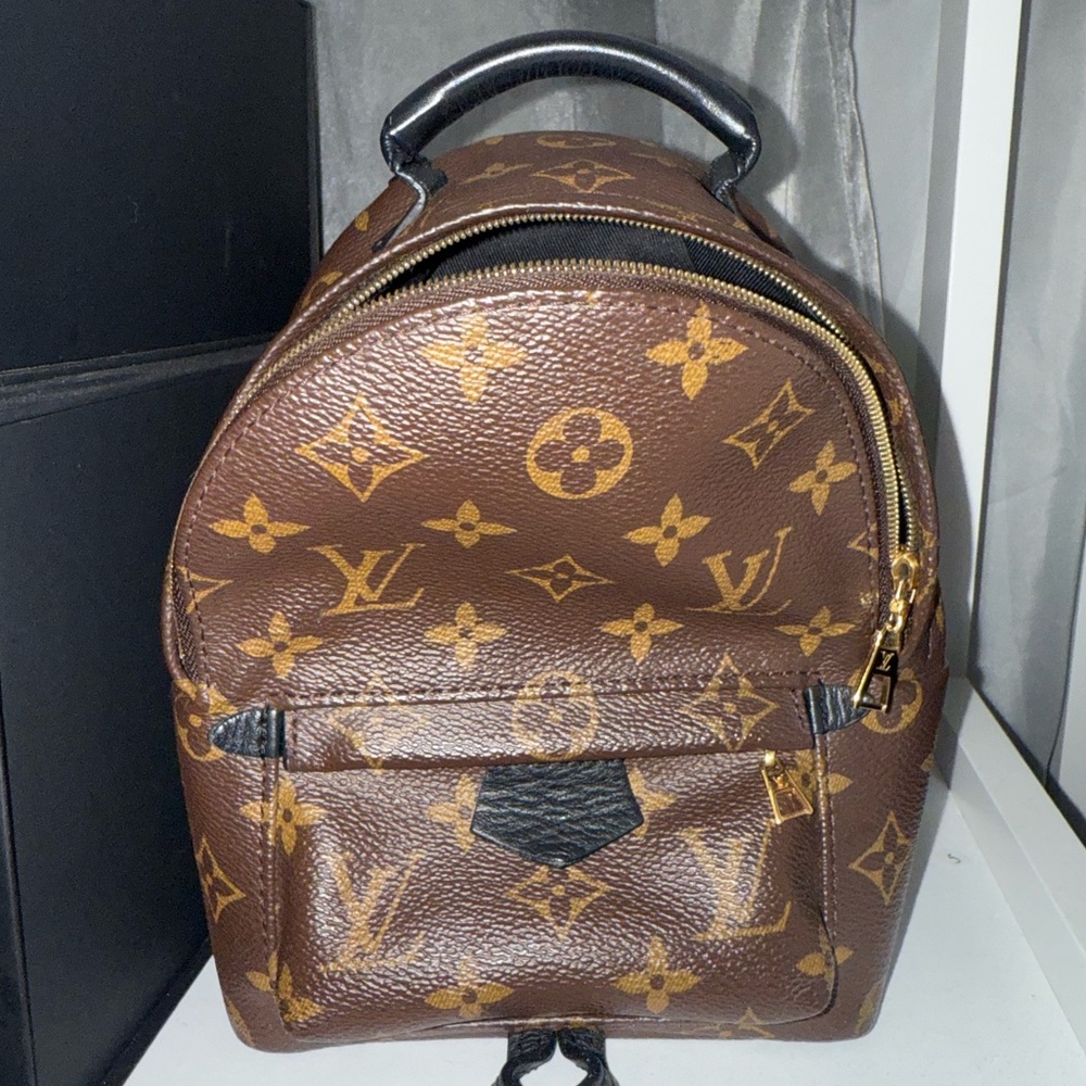 Louis vuitton mini palm spring